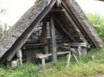 IMG_7455