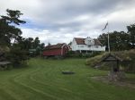 IMG_8208