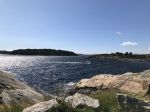 IMG_8319