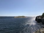 IMG_8328