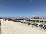 IMG_7046