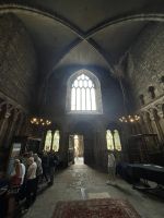 IMG_4443