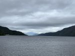 IMG_4905
