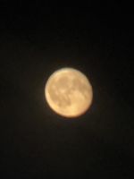 IMG_5234