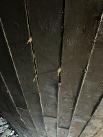 IMG_5811