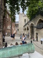IMG_6480