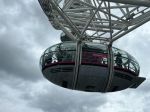 IMG_6730