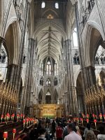 IMG_6790