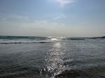 IMG_7145