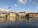 IMG_2955