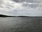 IMG_3484