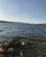 IMG_2220