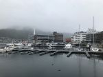 IMG_2704