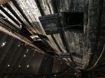IMG_3195
