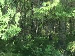 IMG_1762