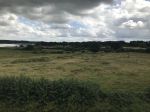 IMG_8059