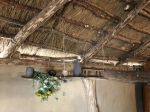 IMG_8070