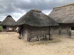 IMG_8105
