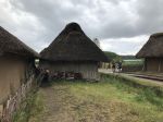 IMG_8127
