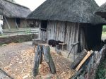 IMG_8128