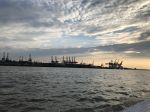 IMG_8708