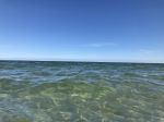 IMG_8432