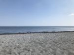 IMG_8759
