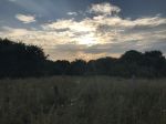 IMG_8823