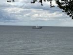 IMG_3776