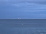IMG_3806