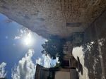 IMG_4216