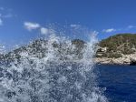 IMG_4275