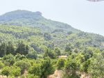 IMG_4407